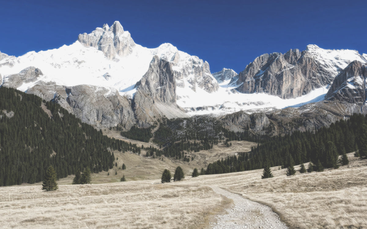 Senza lente
